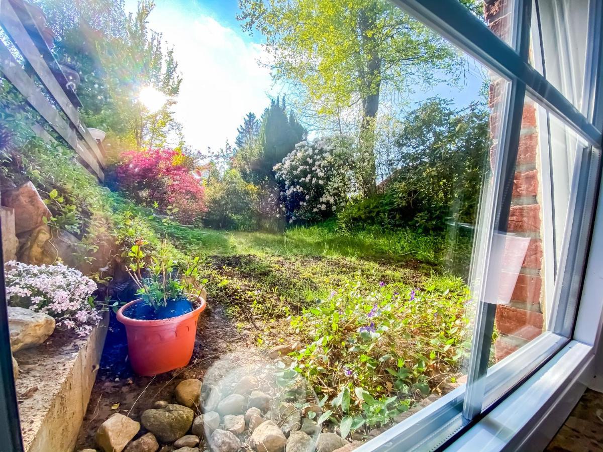 Ferienwohnung Im Sachsenwald Dassendorf Exterior foto